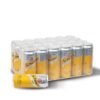 Schweppes Soda Water 33cl can